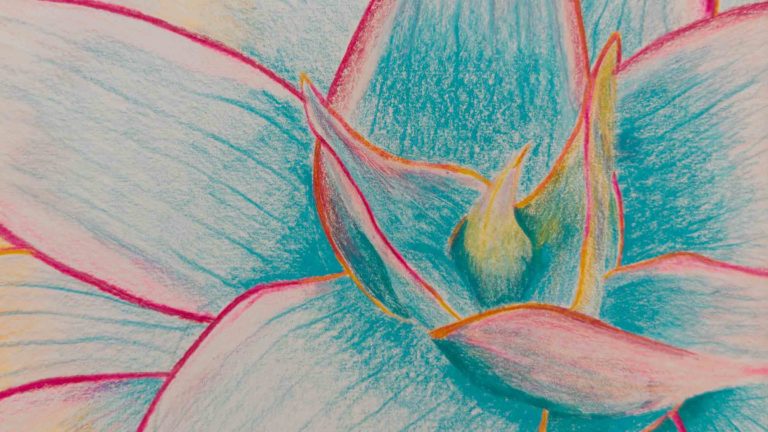Fantastical Flora