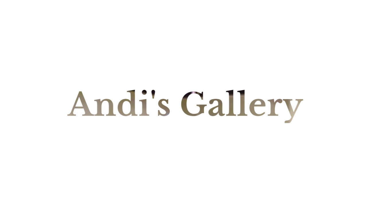 Andis Gallery (Old) logo