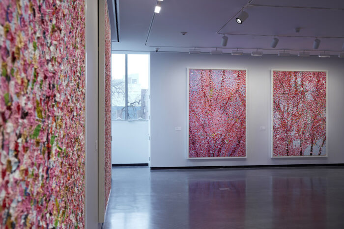 Damien Hirst: Cherry Blossoms