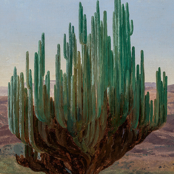 José María Velasco A View of Mexico