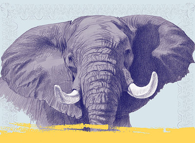Game Change: Elephants Prey to Preservation October 4, 2018 – February 1, 2020 Natural History Museum