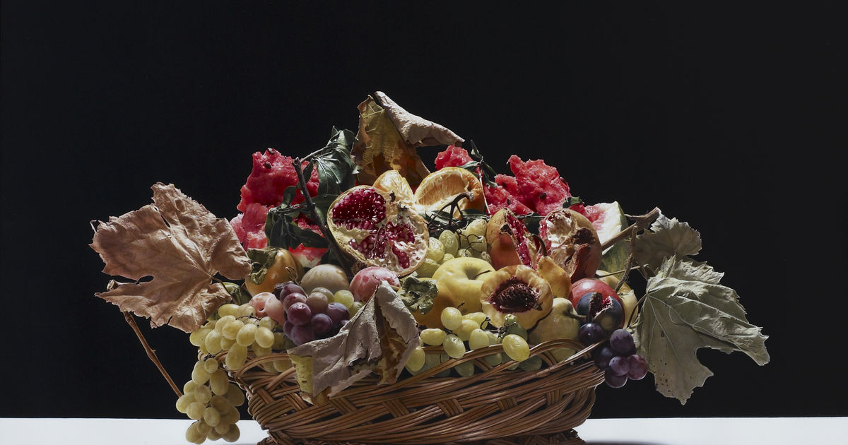 Friedrichs Pontone logo