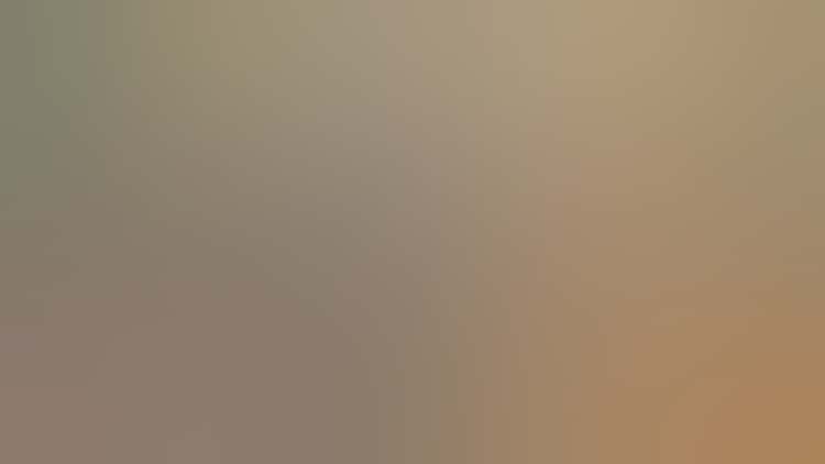 Mascon: A Massive Concentration of Black Interscalar Energy