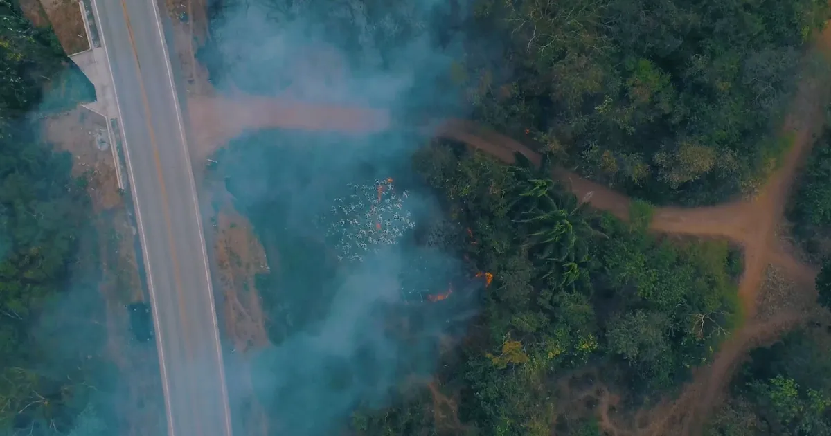 Cecilia Brunson Projects logo