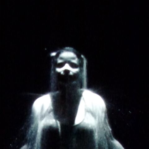 Bill Viola: Ocean Without A Shore