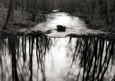 Paul Caponigro