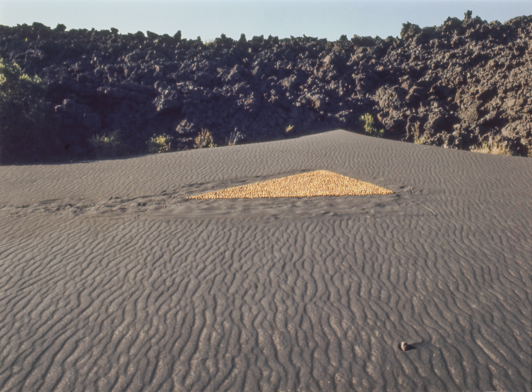 Peter Hutchinson: Landscapes of My Life