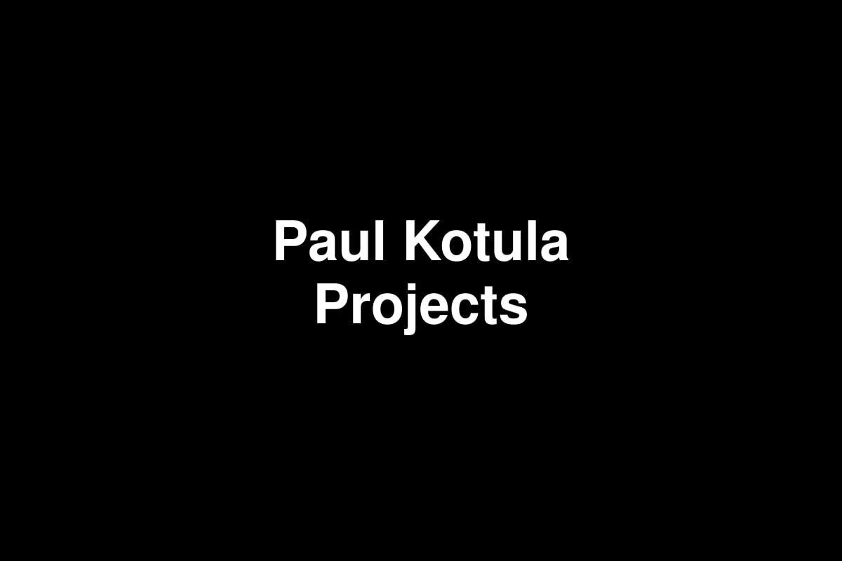 Paul Kotula Projects