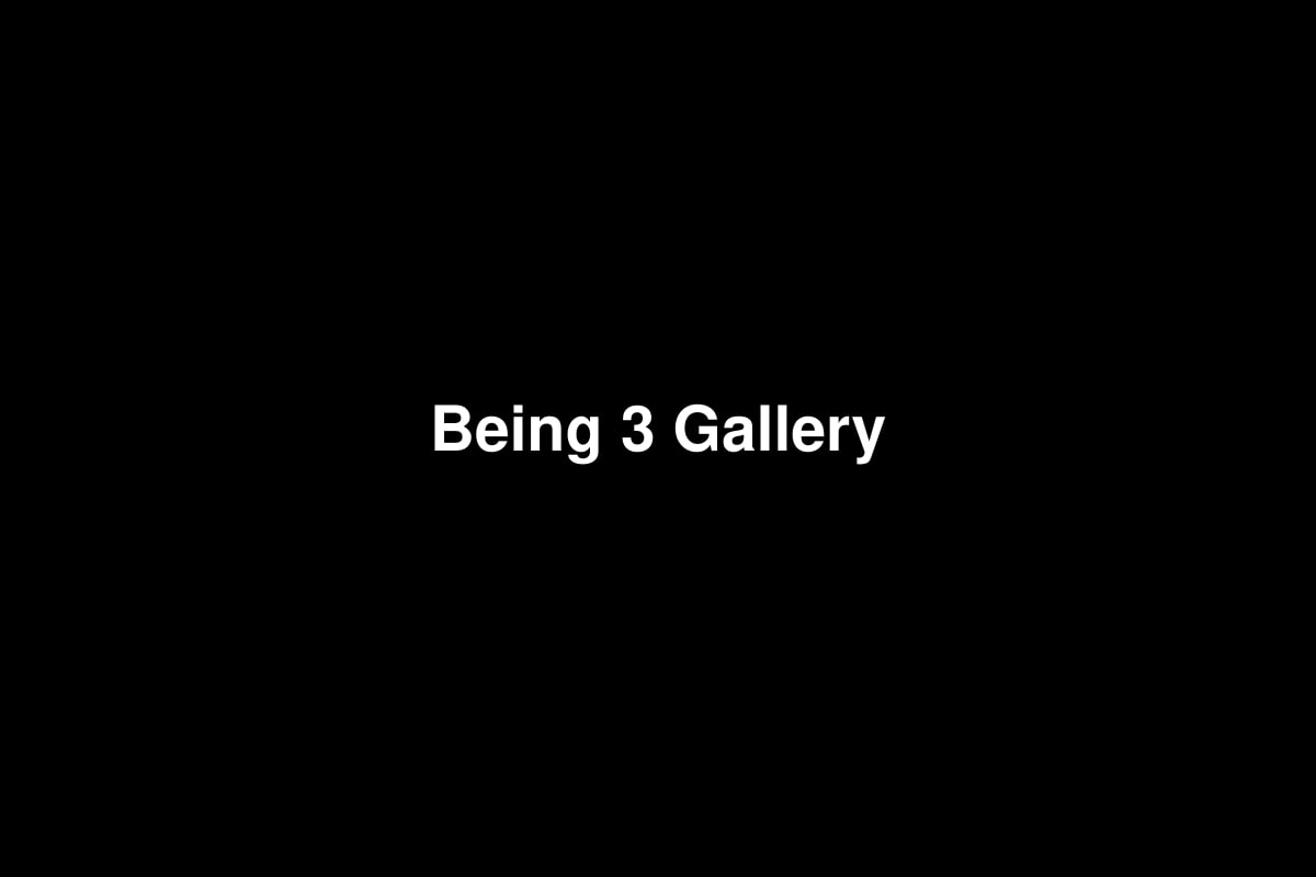I Am Here & You Are Here Dual Solo Exhibitions by Chai Zhongjian & Shi Jun
