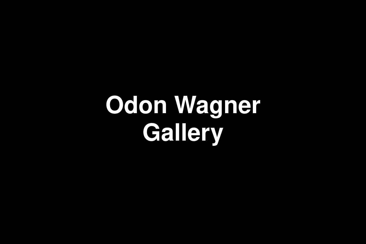 Odon Wagner Gallery