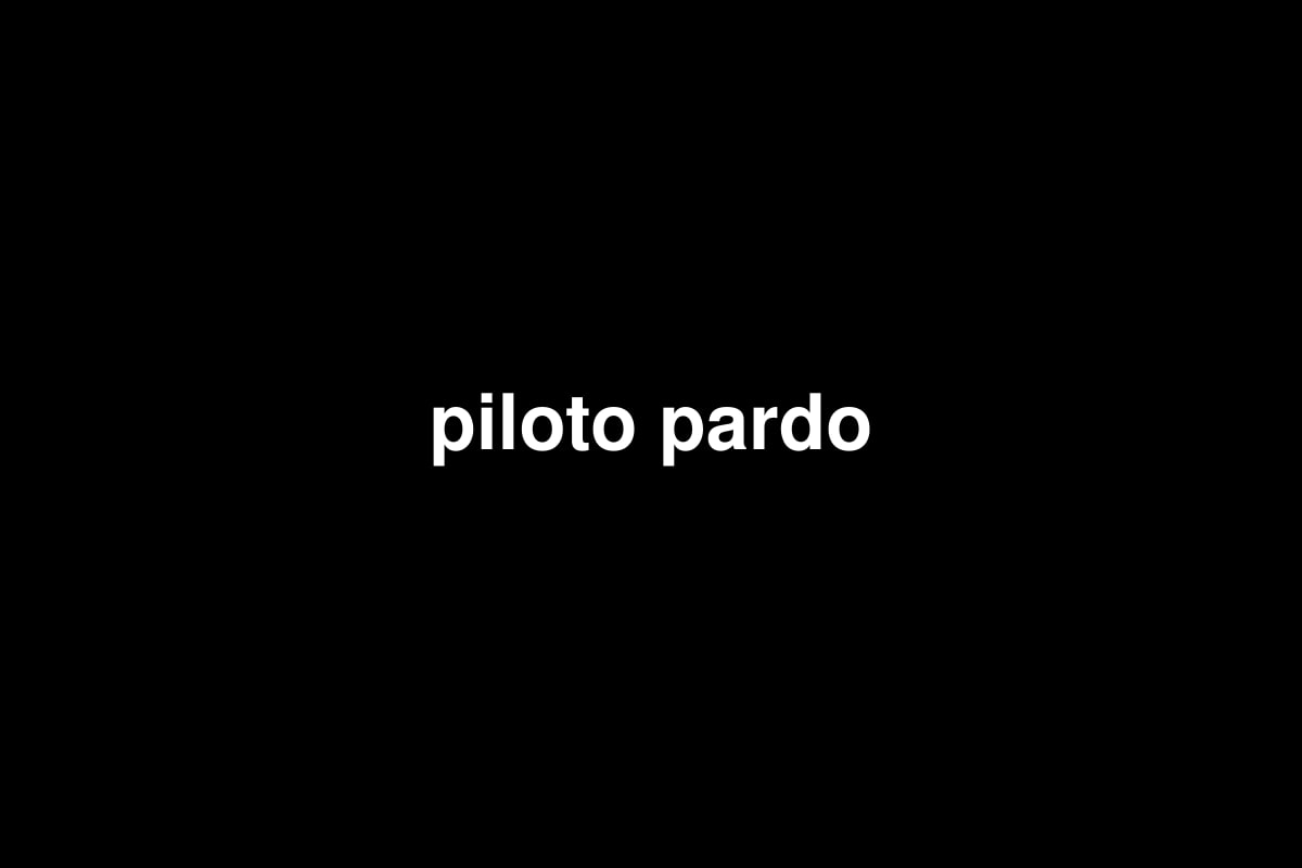 piloto pardo