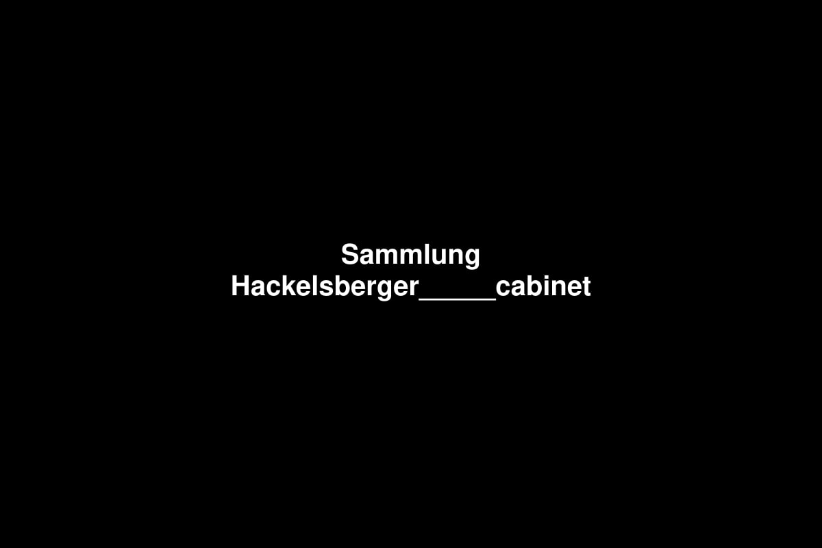 SAMMLUNG HACKELSBERGER_______guests. Susanne Brodhage – OUTWARDS