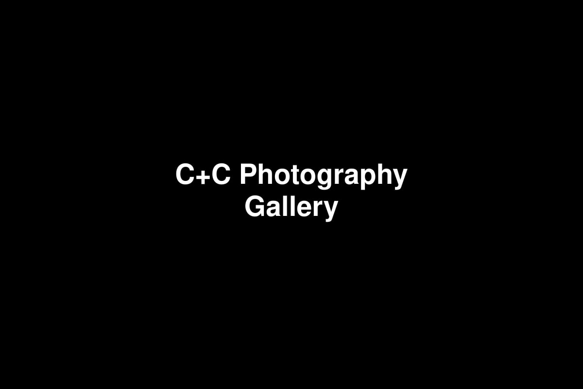 Inaugural Exhibition: 3 West 57th Street