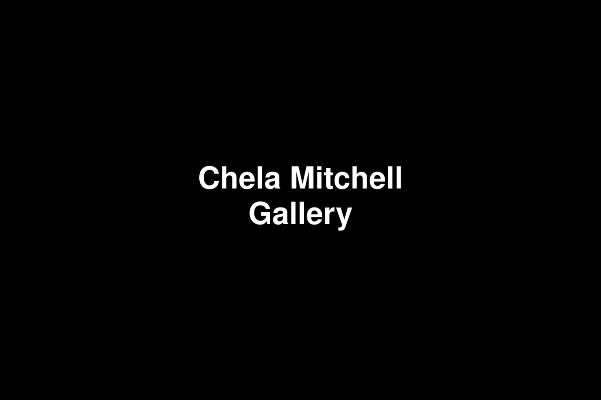 Chela Mitchell Gallery