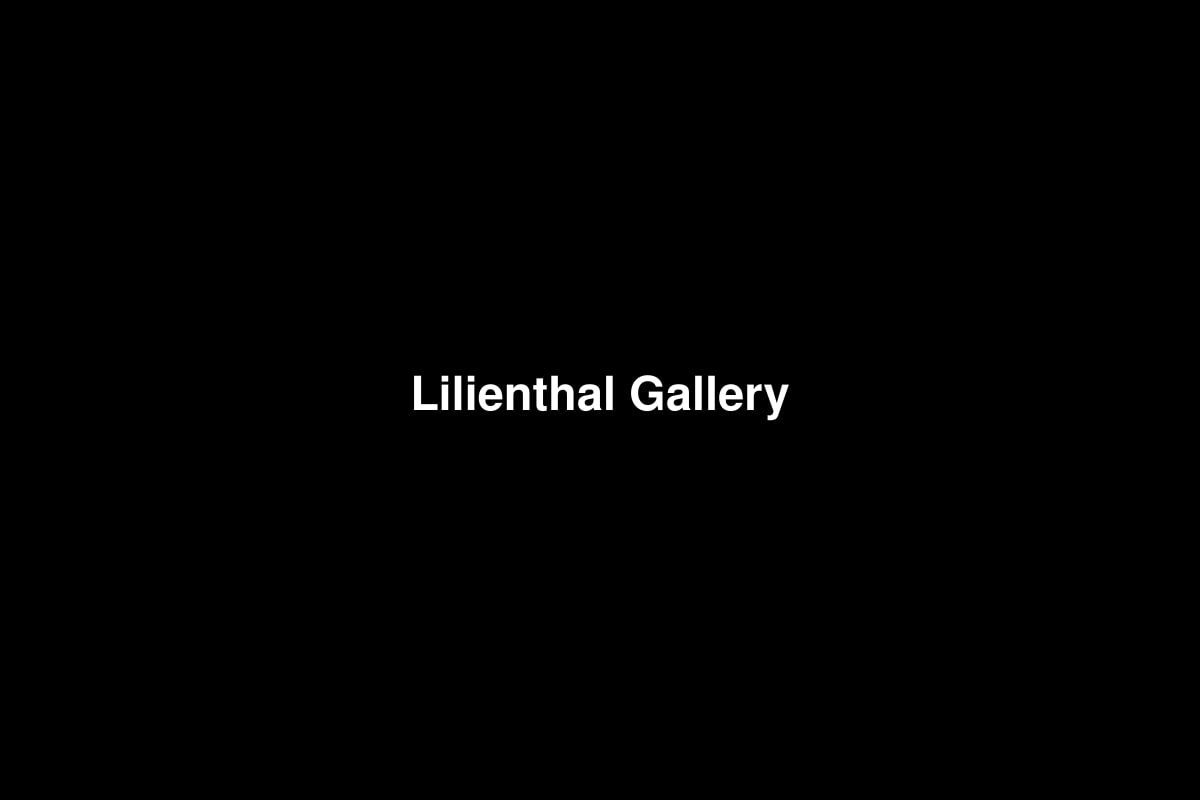 Lilienthal Gallery
