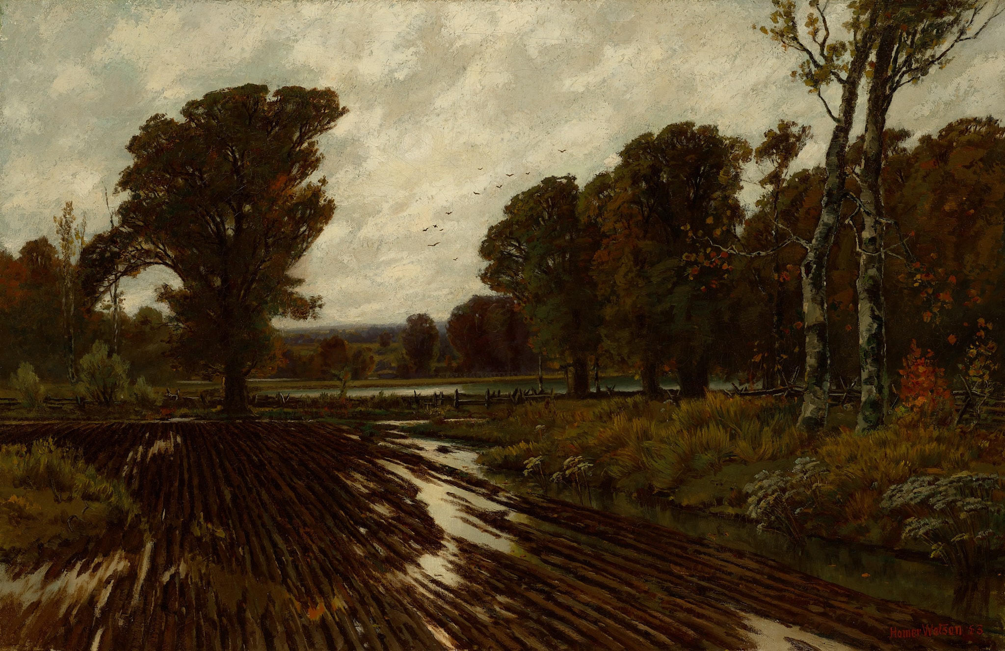 After the Rain