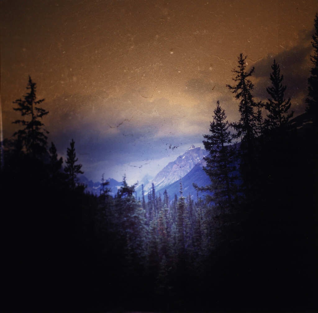 Asylum Seekers Valley (The Forbidden Hours Can Eat You Alive Series)