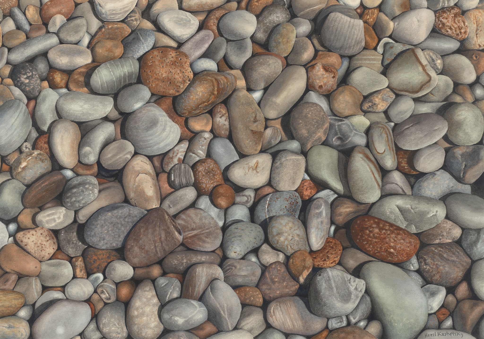 Beach Rocks