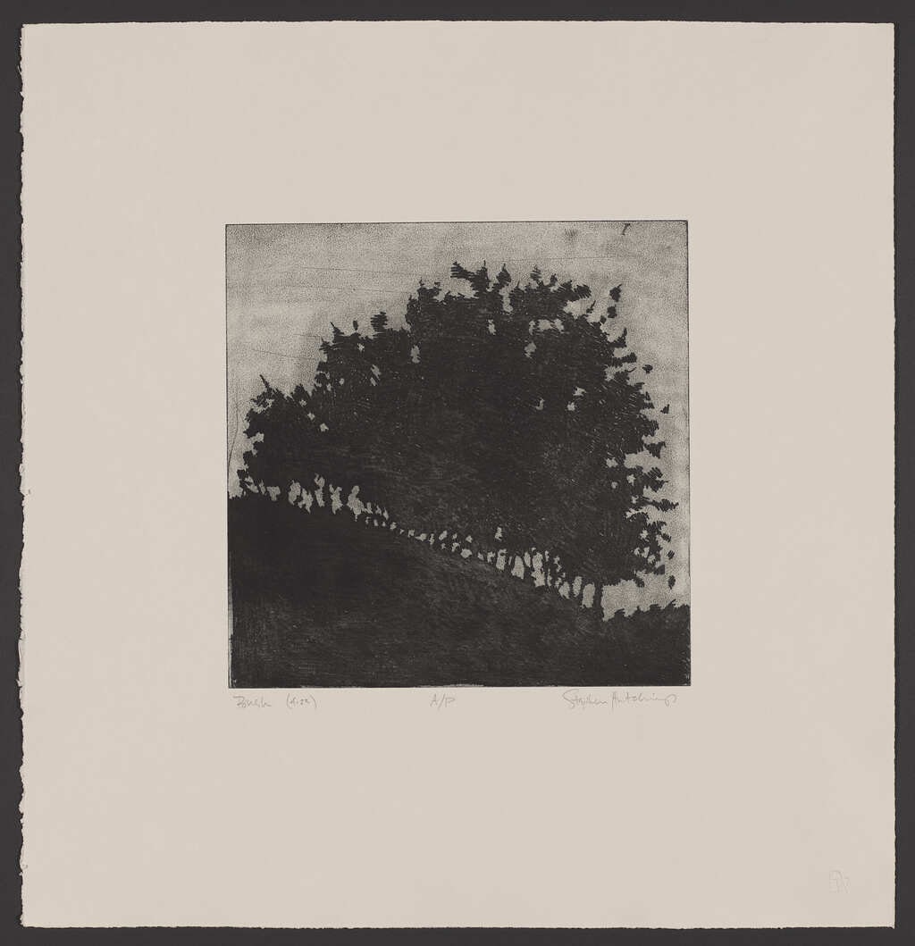 Bush (2/4)