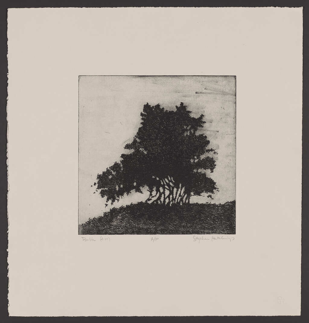 Bush (3/4)