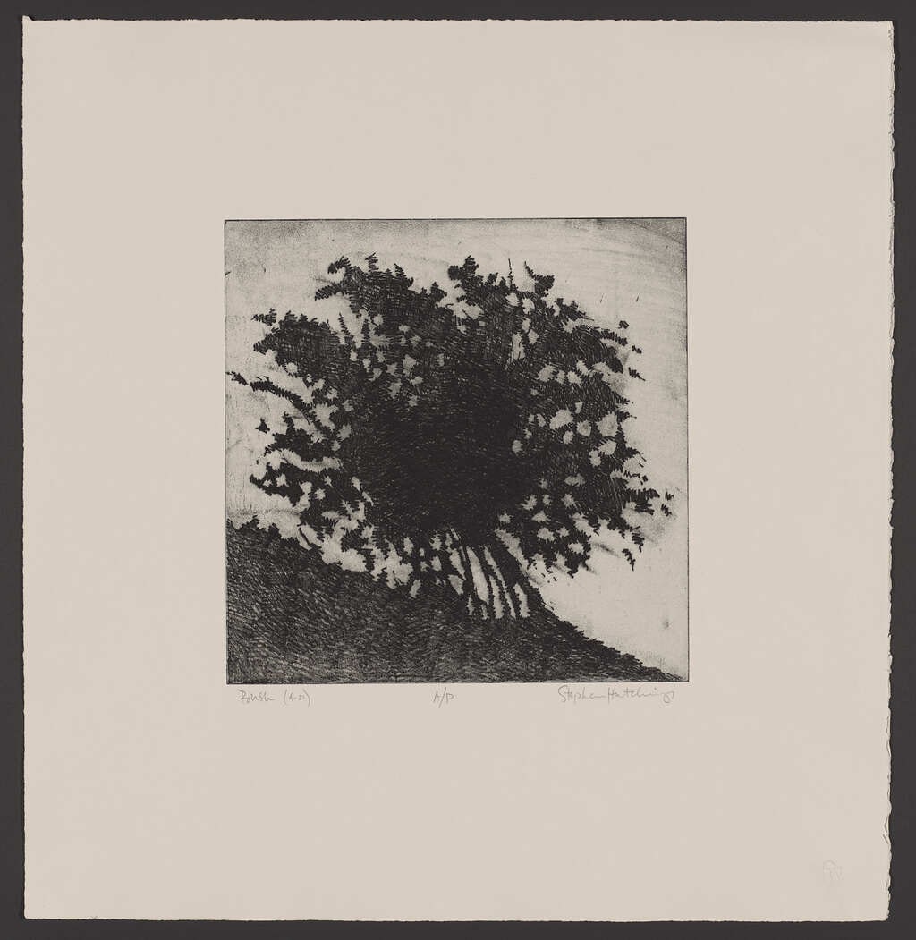 Bush (4/4)