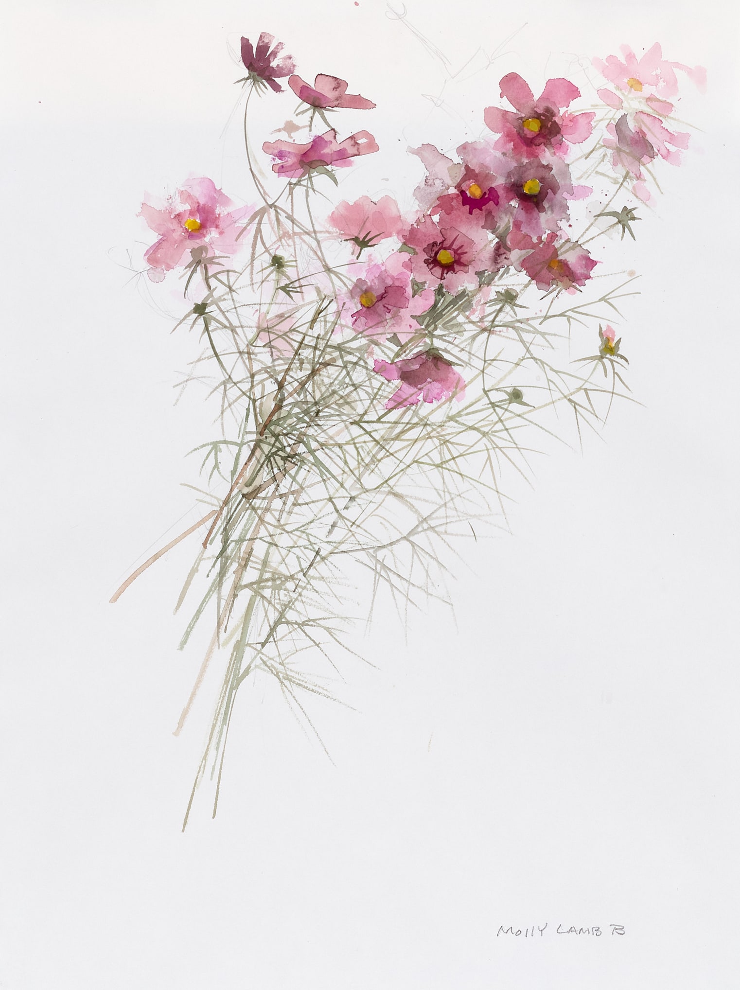 Cosmos