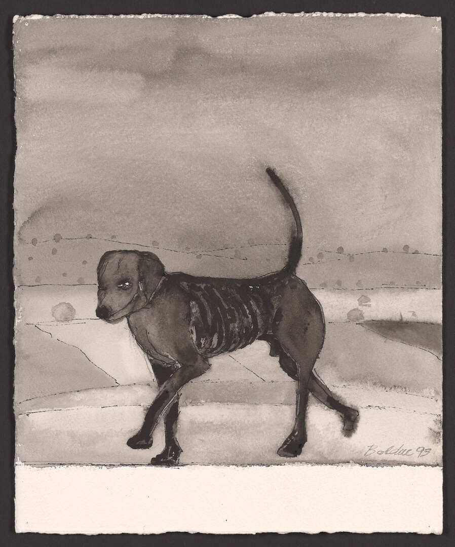 Dog