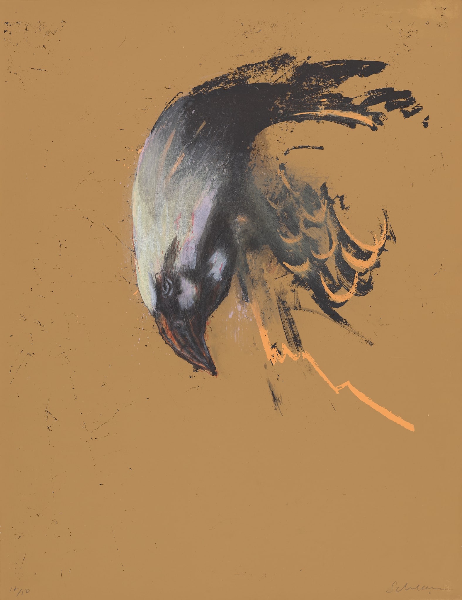 Eagle