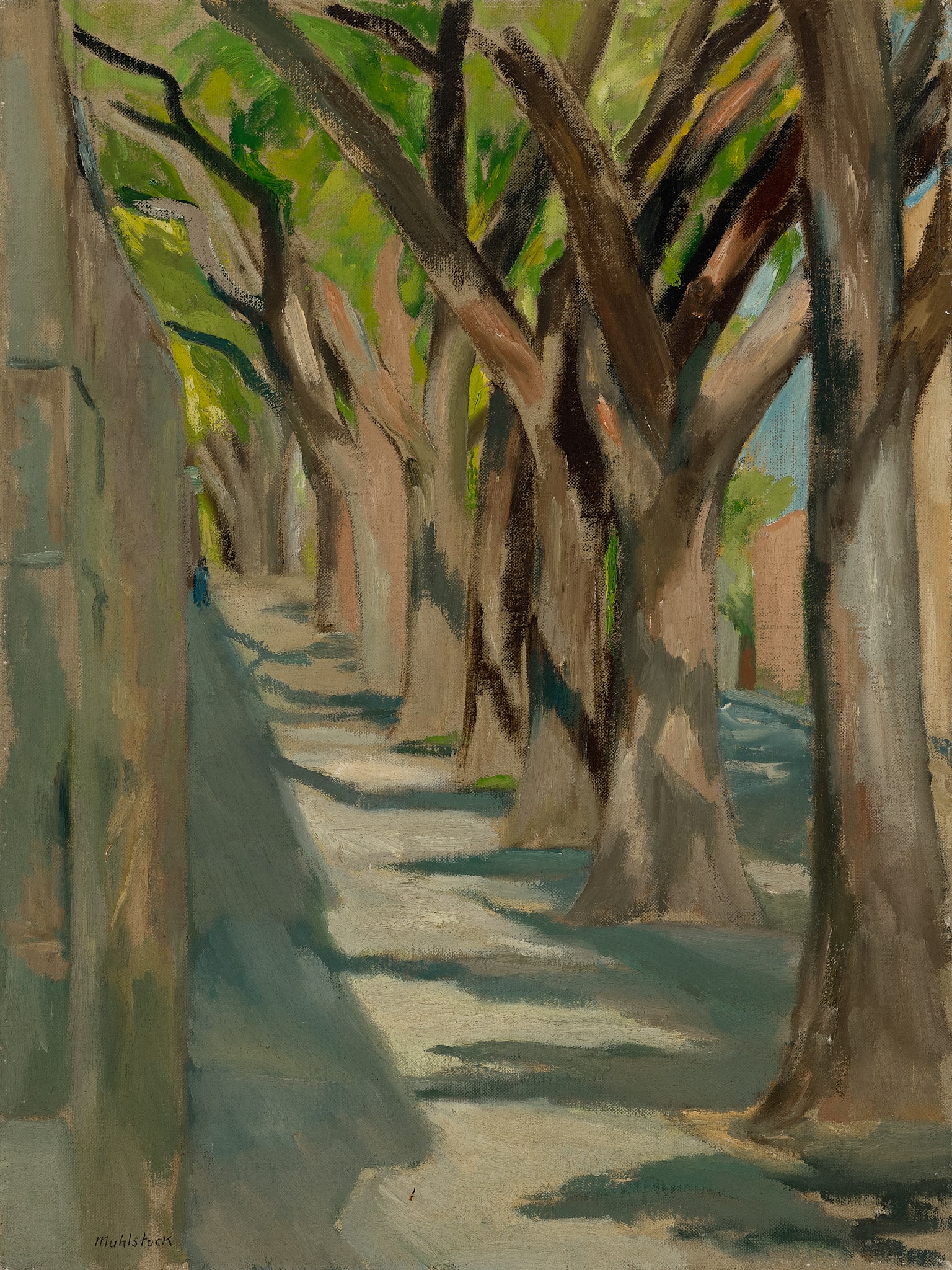 Elms on Pine Avenue