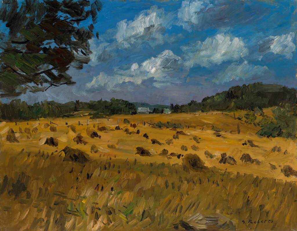 Field in Summer, Quebec