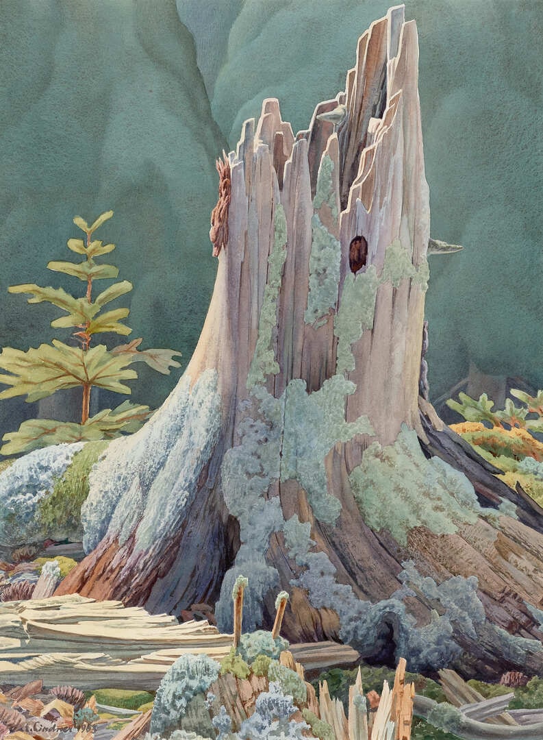 Forest Castle
