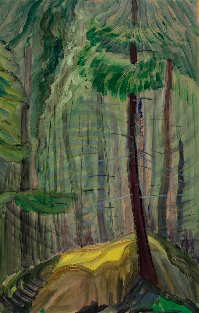 Forest Glade