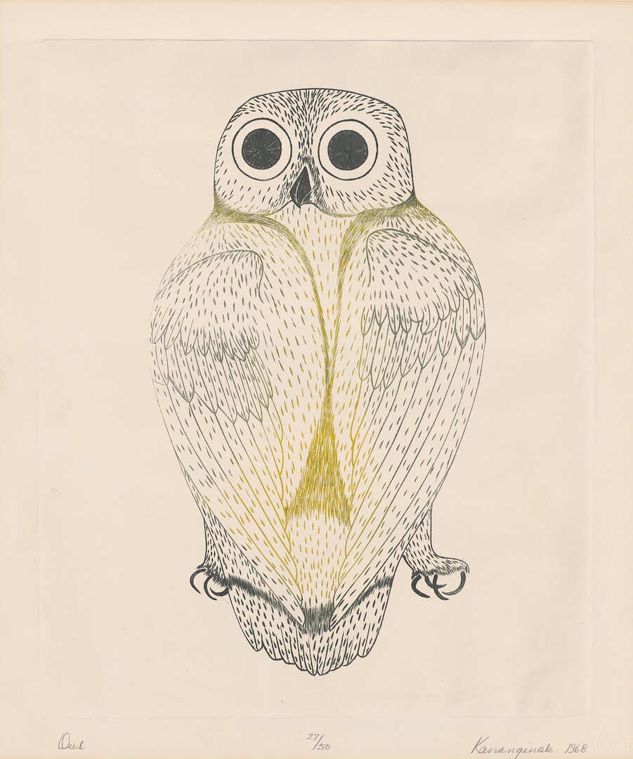 Owl