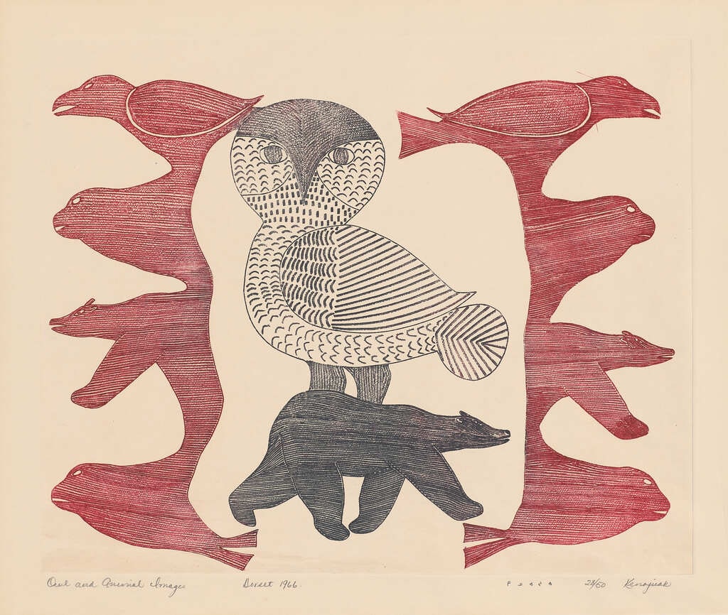 Owl and Animal Images