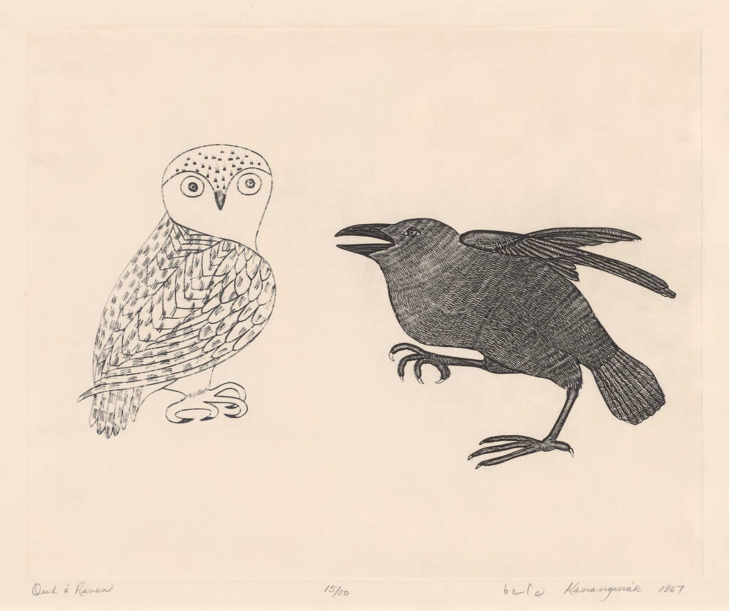 Owl and Raven