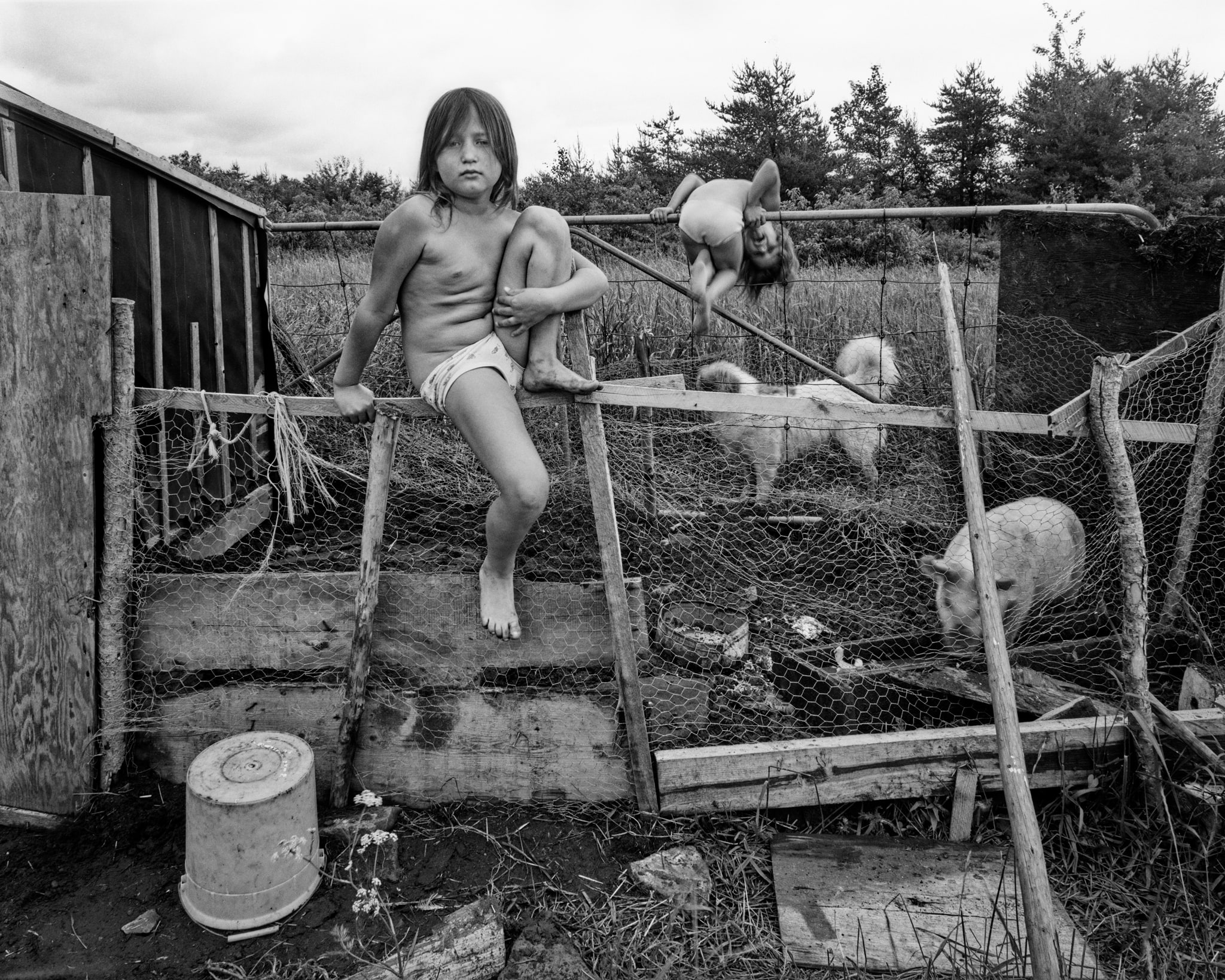 Pig Pen, Brantville, NB