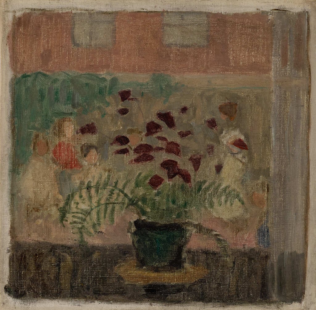 Plant in a Window