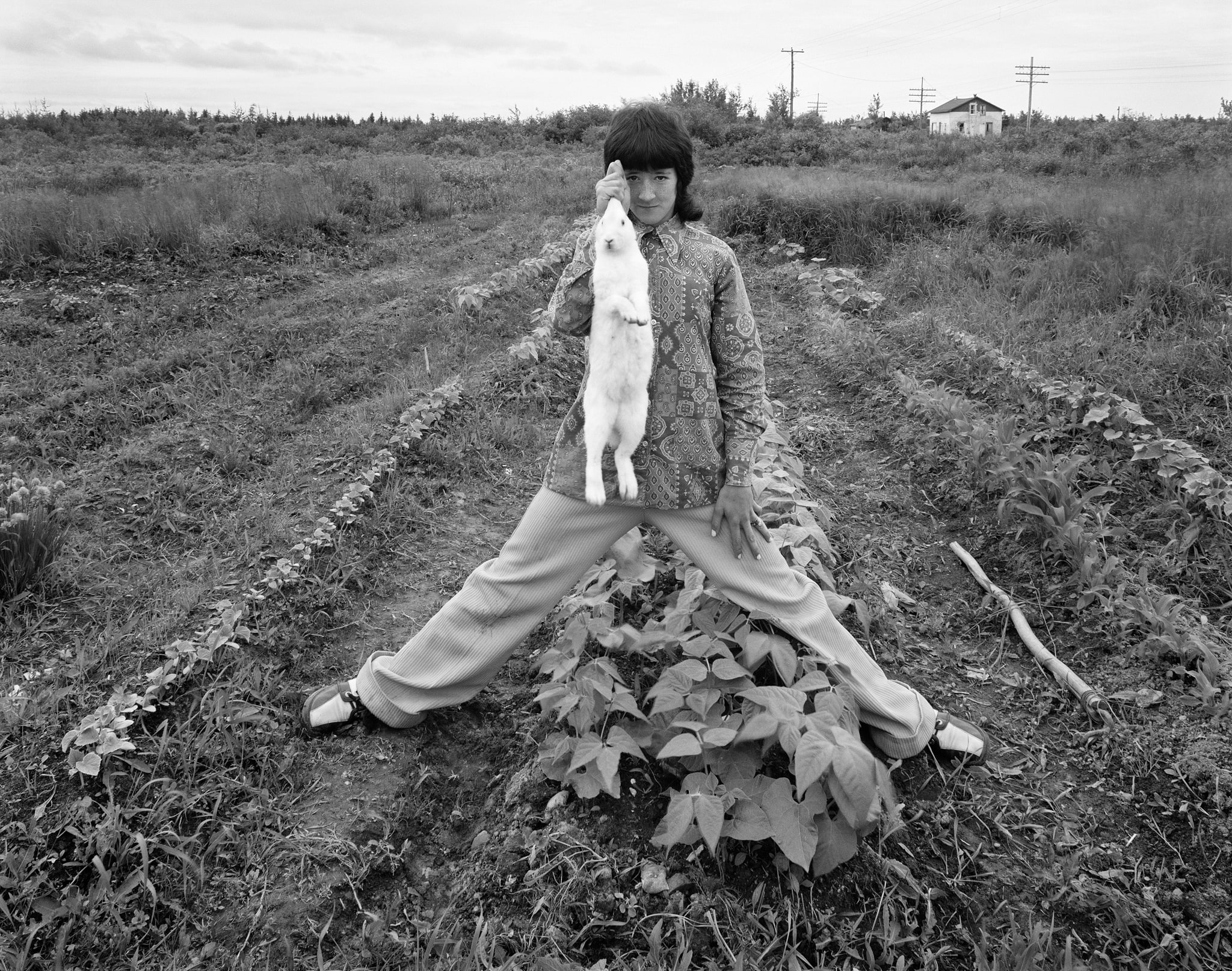 Rabbit, Brantville, NB