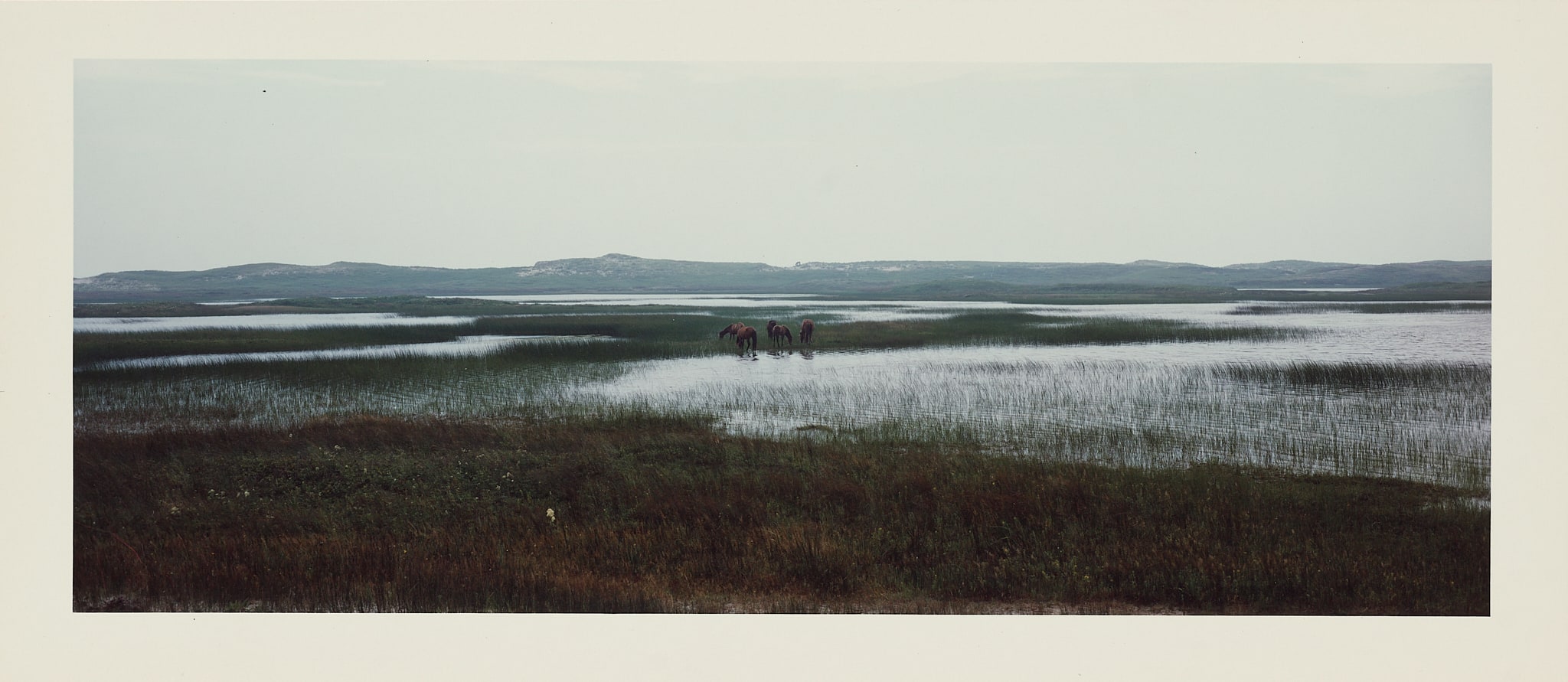 Sable Island