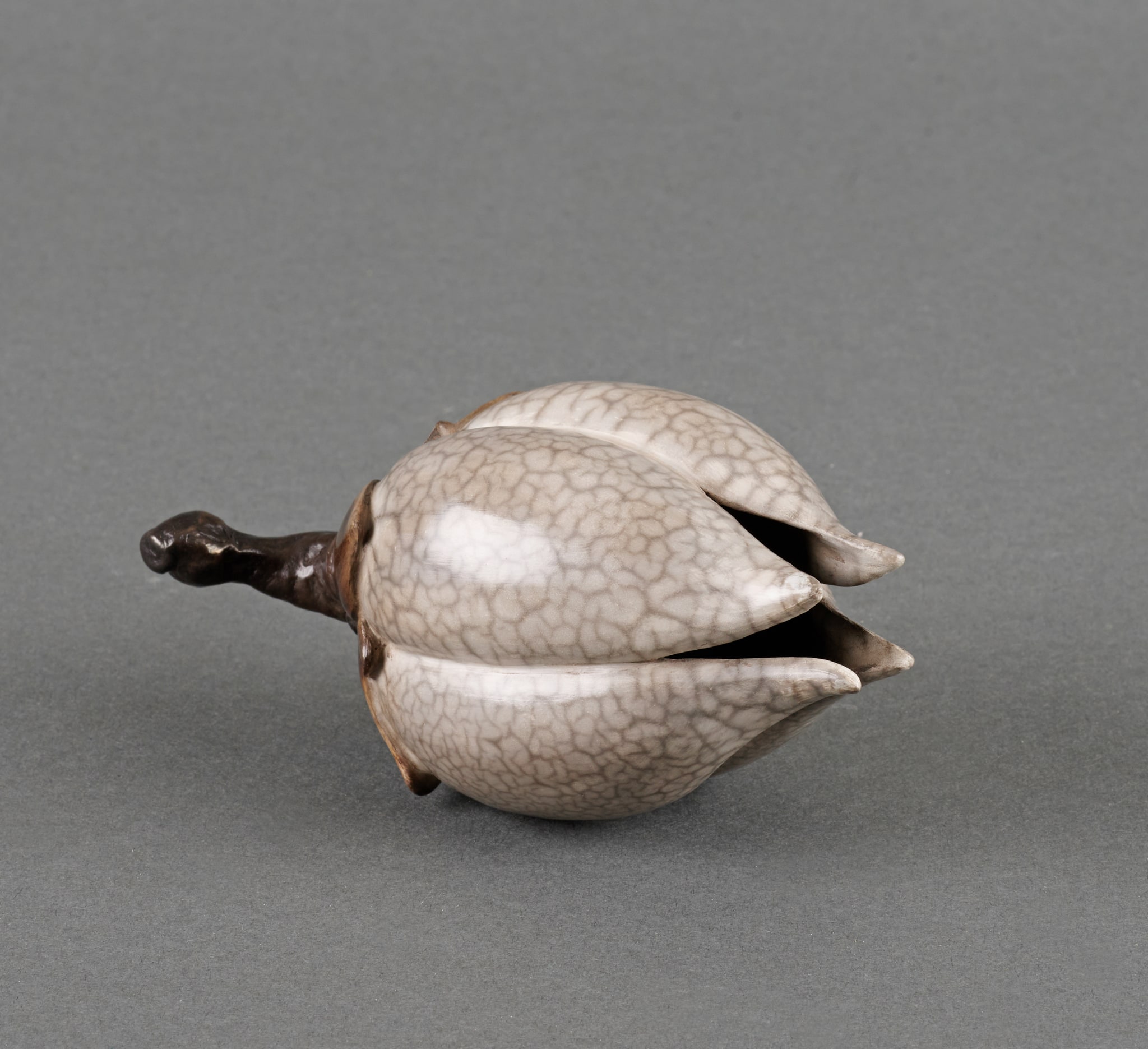 Seed Vessel No. 2