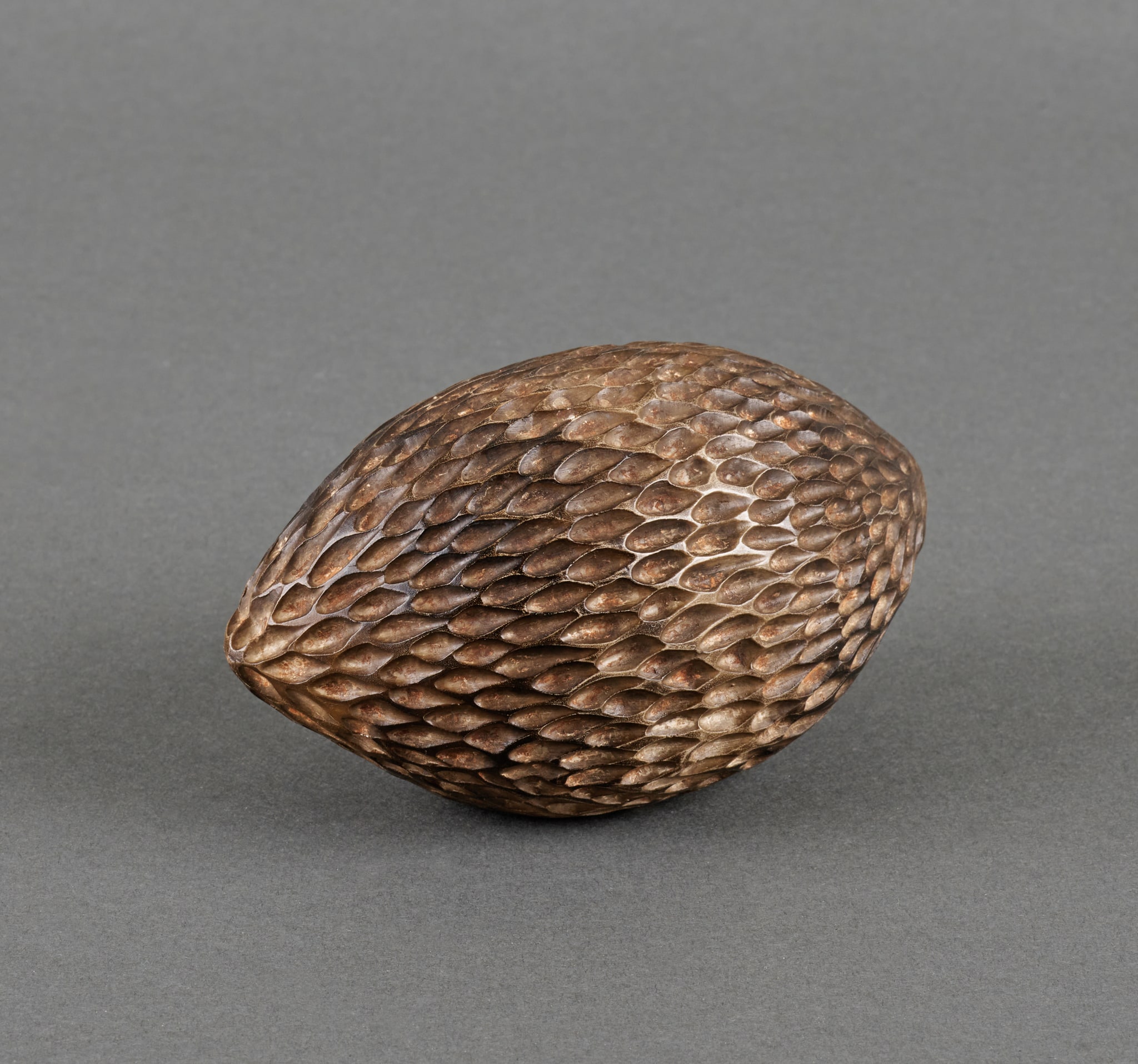 Seed Vessel No. 3