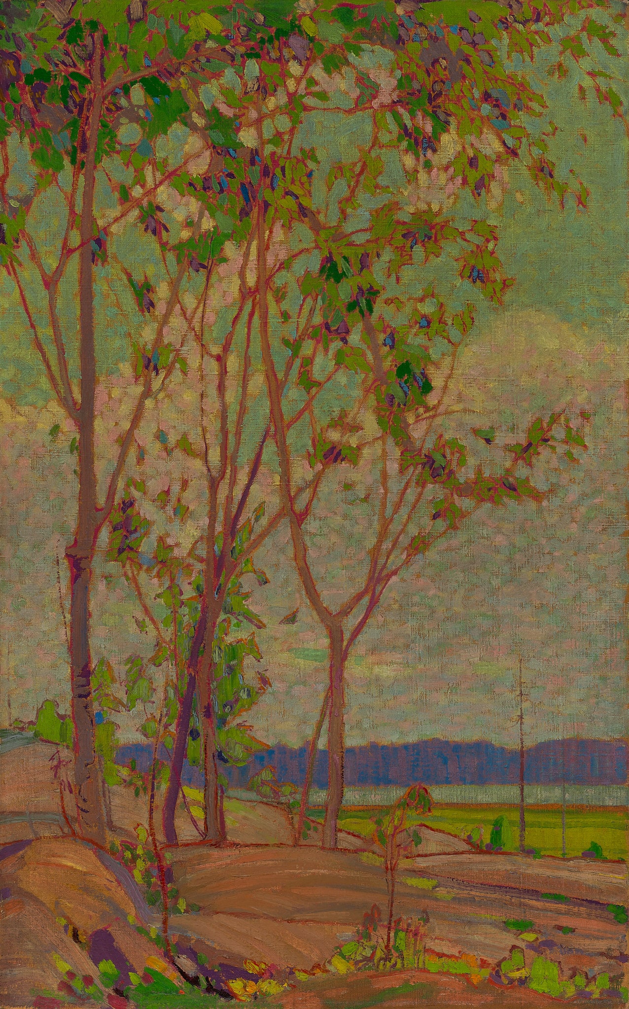 Spring