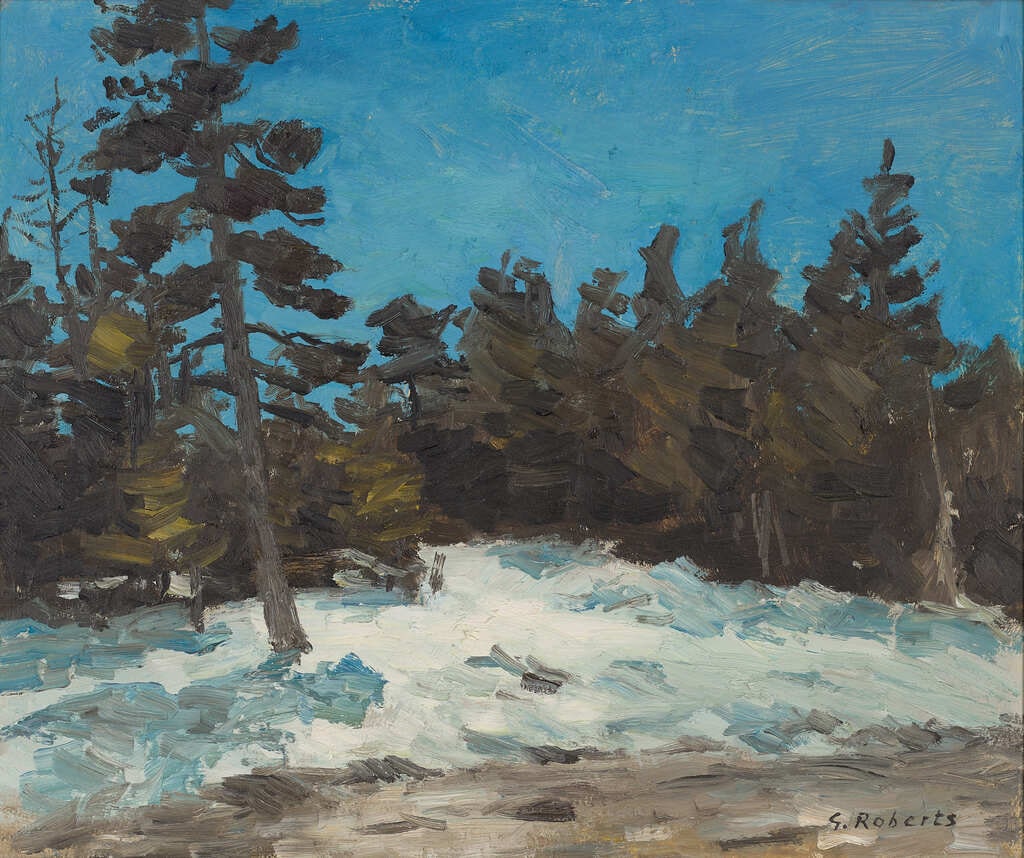 Spruce Trees in Winter, New Brunswick