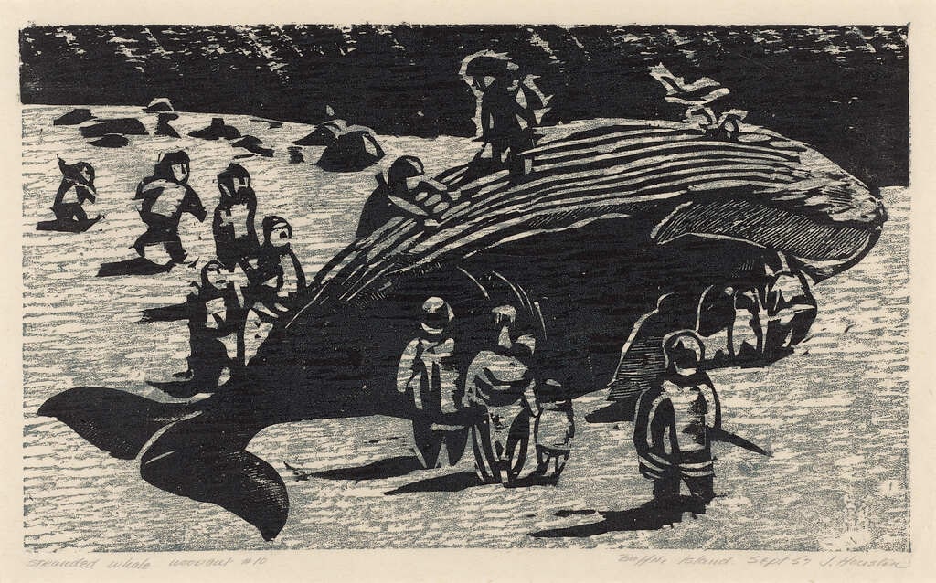 Stranded Whale