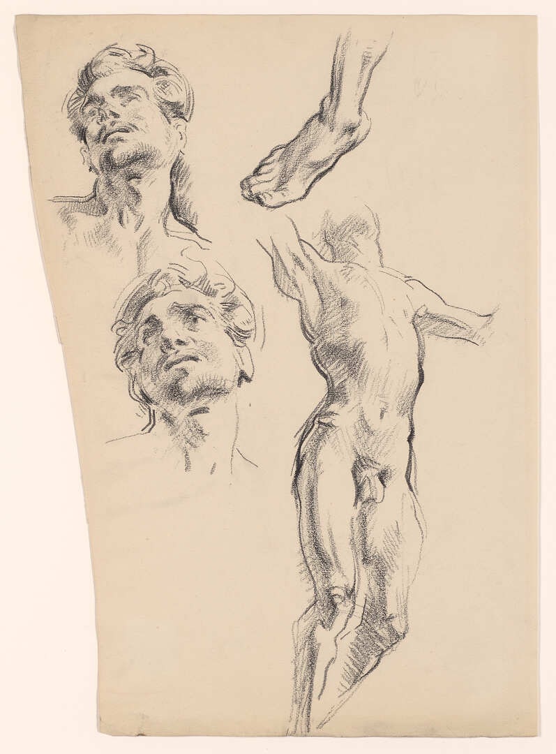 Studies from the life of a head and a male body