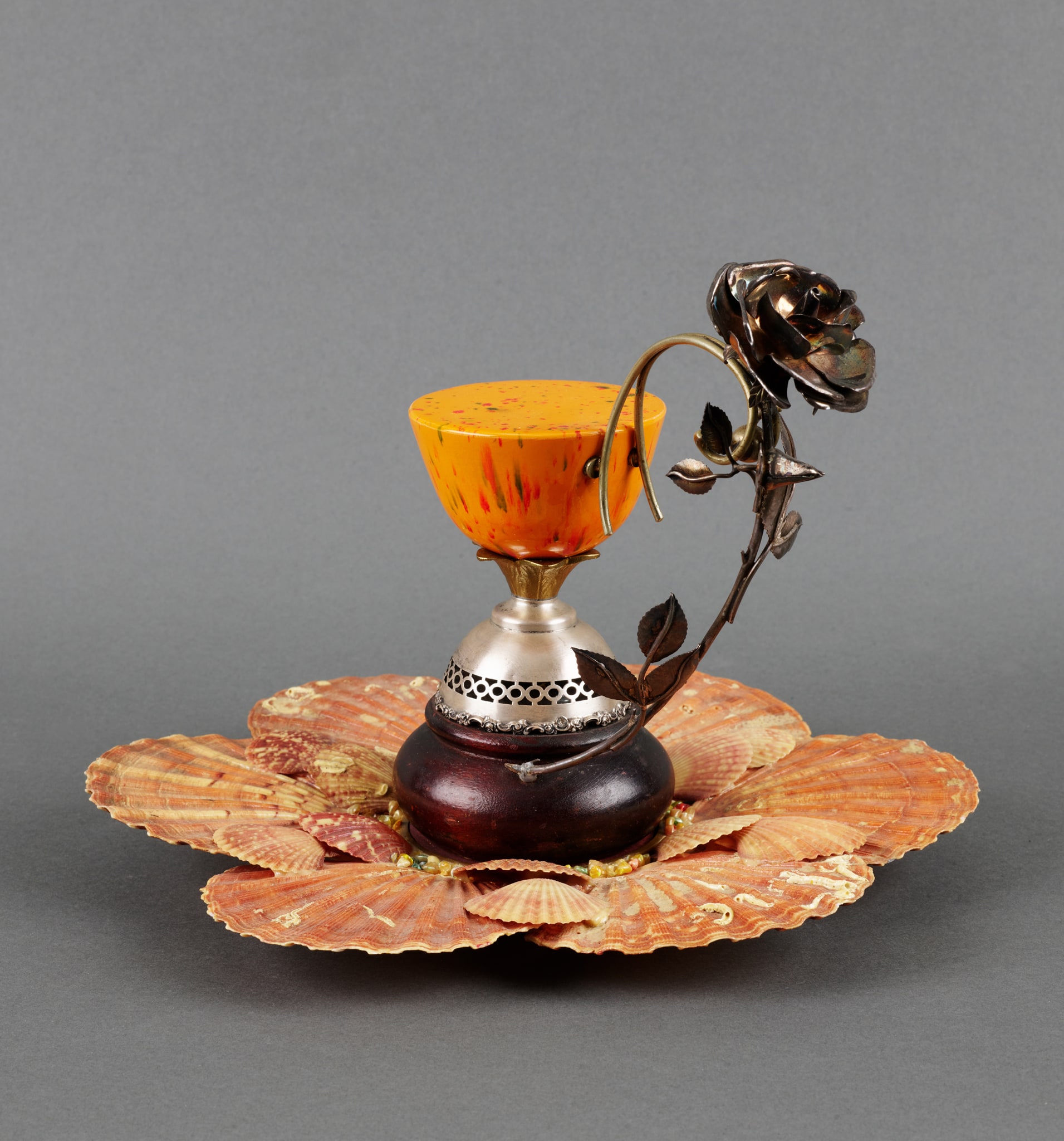 Tasse et soucoupe et coquillages