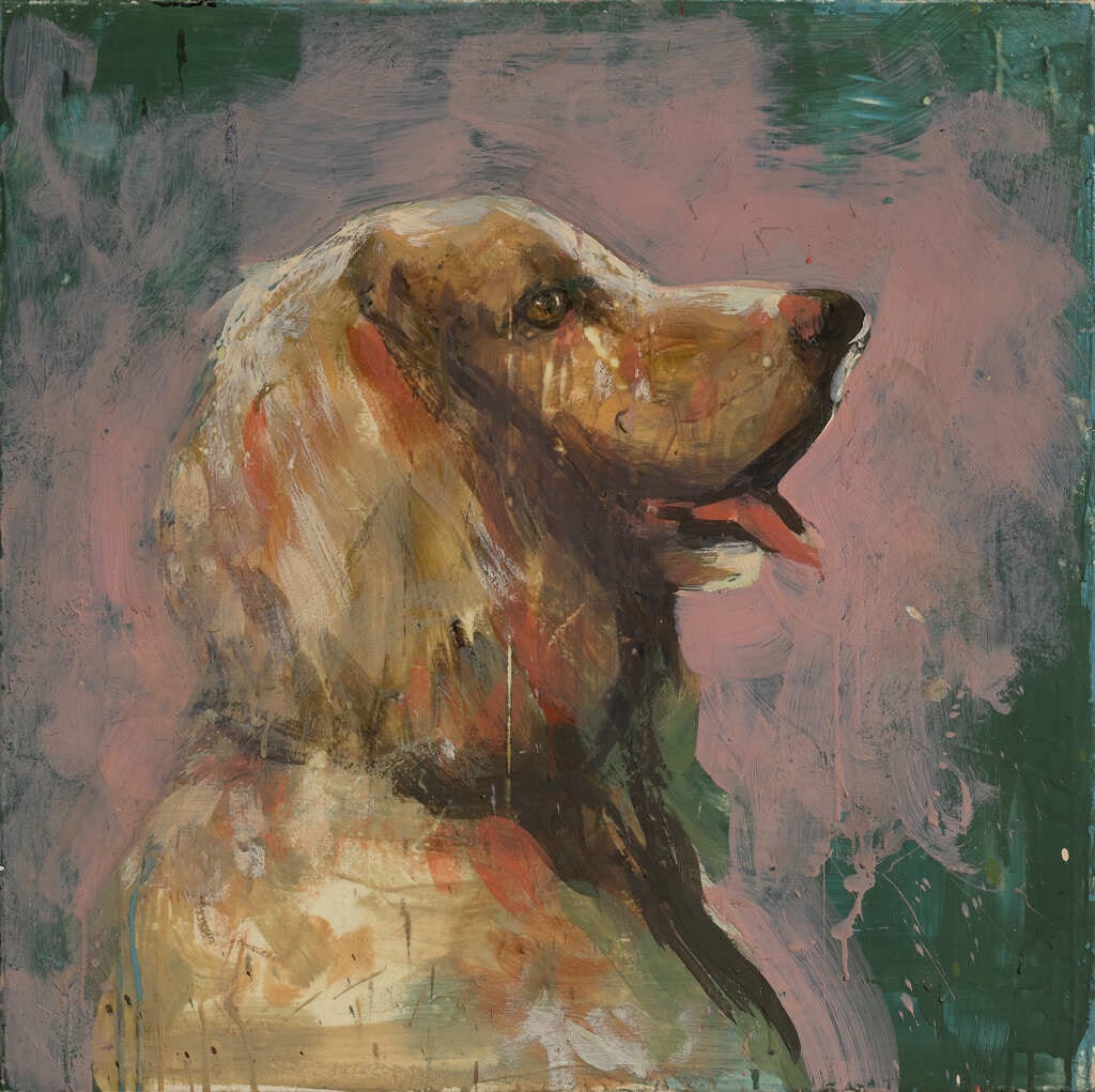 The duke of Wellington’s dog Henry