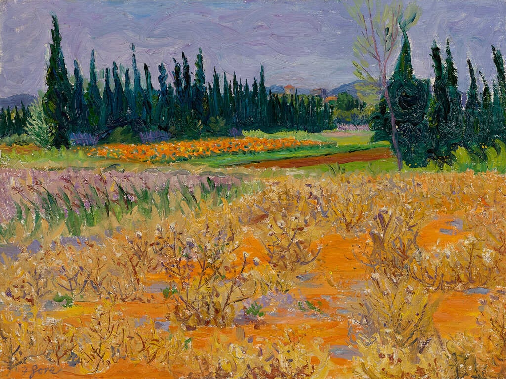 The Fields of Maussane