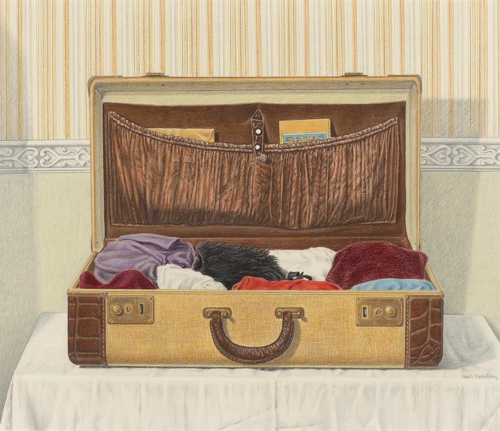The Suitcase