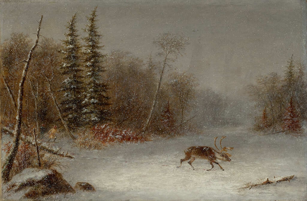 The Wounded Caribou